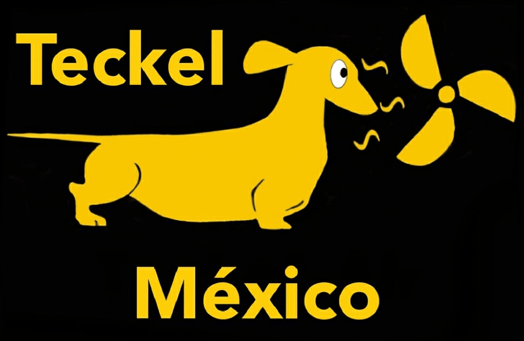 TE 3181 6″ Ventilador de Mesa Pequeño – TECKEL MEXICO